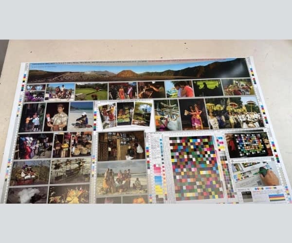 Offset Printing Machine Dealers in Chennai